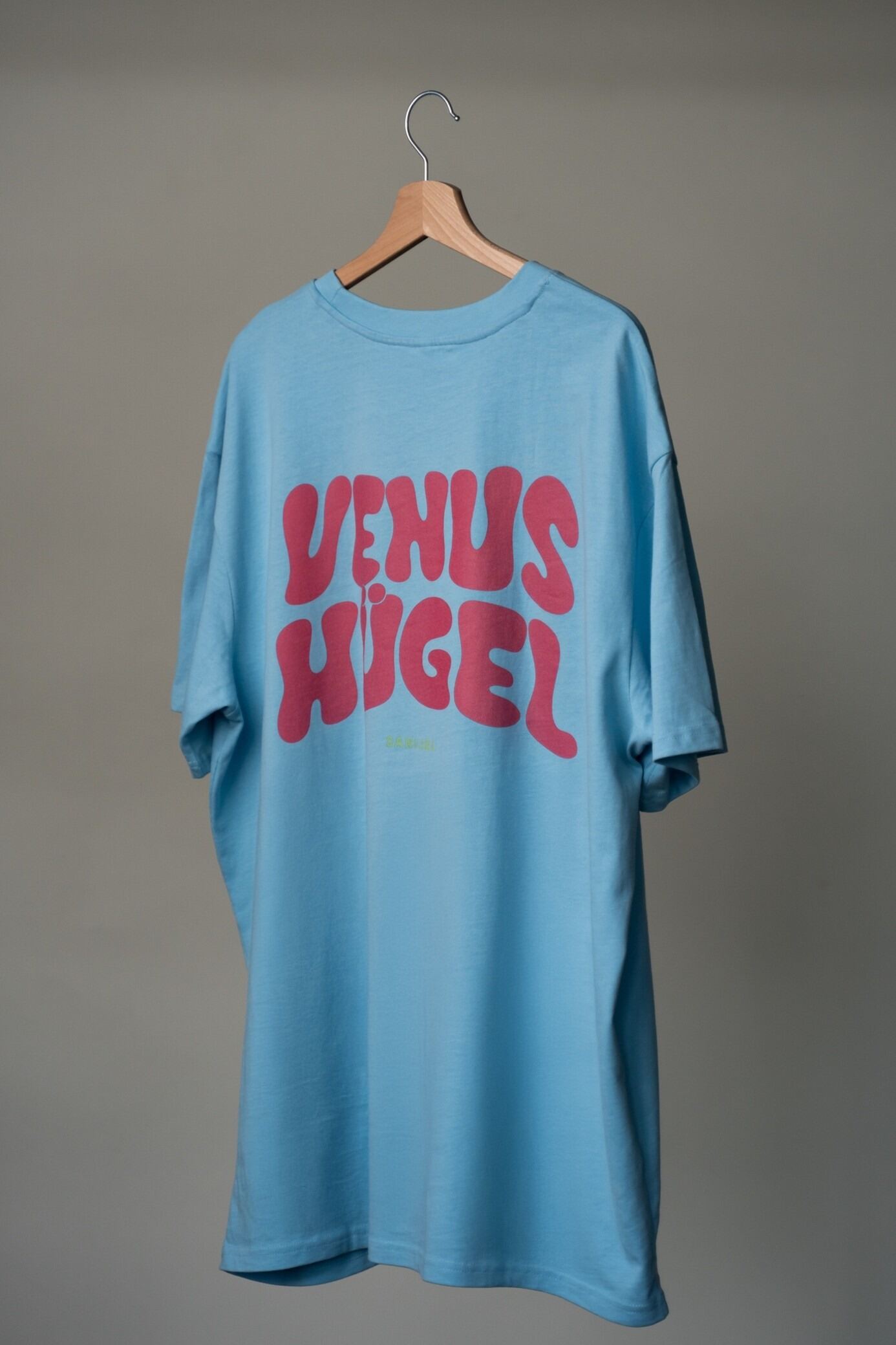 T- Shirt "Venushügel" Hellblau